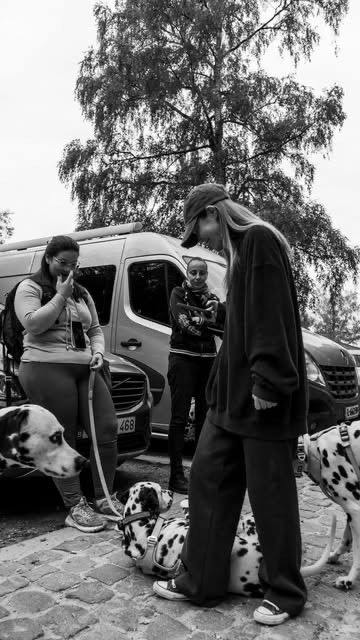Dalmatiens en balade avec leurs maîtres