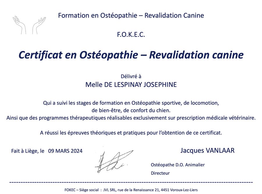 Certificat en ostéopathie et revalidation canine de Joséphine de Lespinay, délivré à Liège le 9 mars 2024