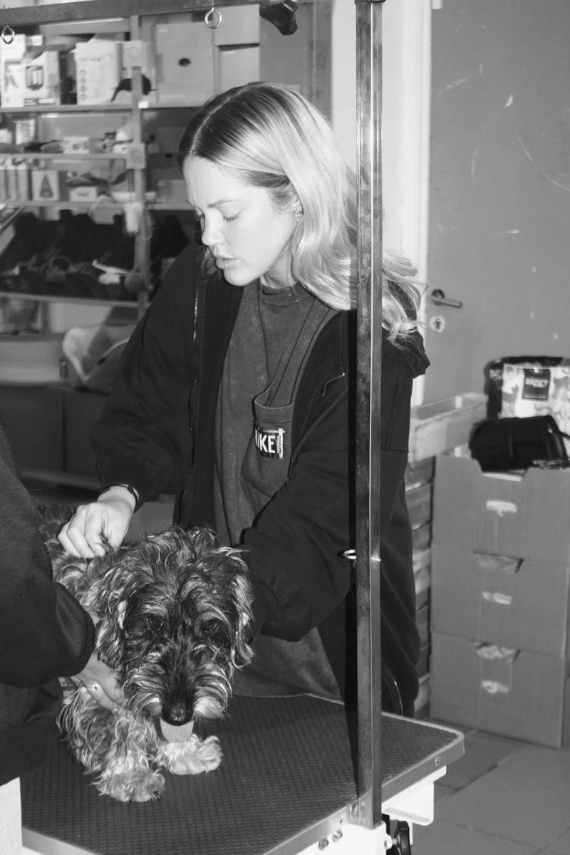 Joséphine examine un petit chien sur la table de soin